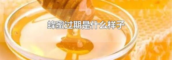 蜂蜜过期是什么样子
