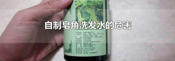 自制皂角洗发水的危害