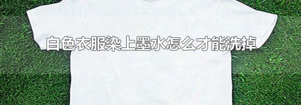 白色衣服染上墨水怎么才能洗掉