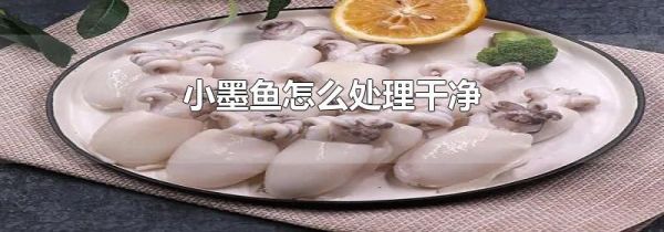 小墨鱼怎么处理干净