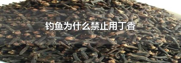 钓鱼为什么禁止用丁香