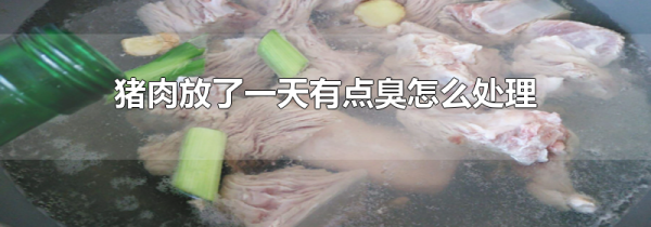 猪肉放了一天有点臭怎么处理