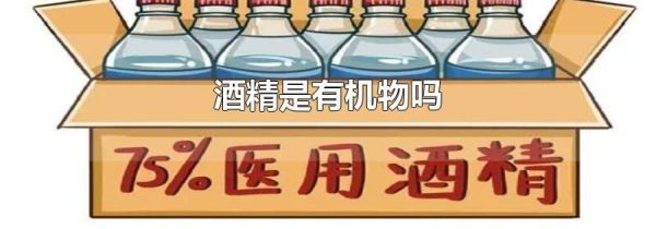 酒精是有机物吗