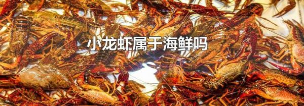 小龙虾属于海鲜吗