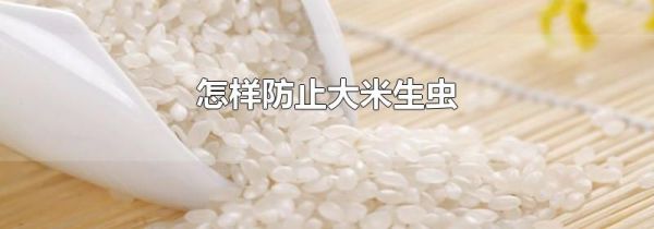 怎样防止大米生虫