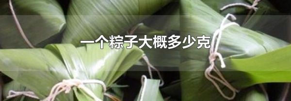 一个粽子大概多少克