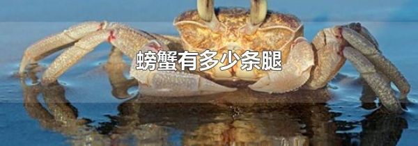 螃蟹有多少条腿