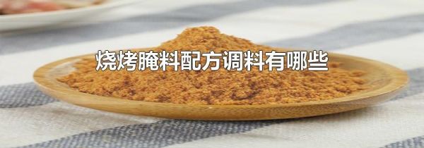 烧烤腌料配方调料有哪些