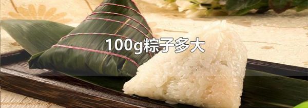 100g粽子多大