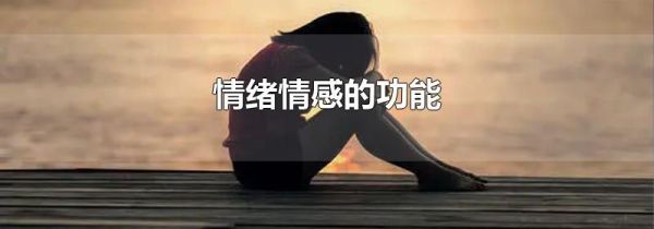 情绪情感的功能