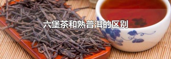 六堡茶和熟普洱的区别