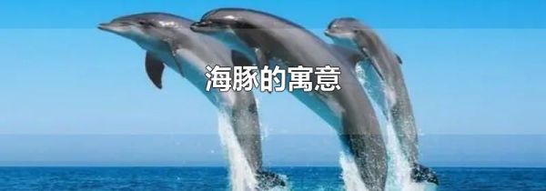 海豚的寓意