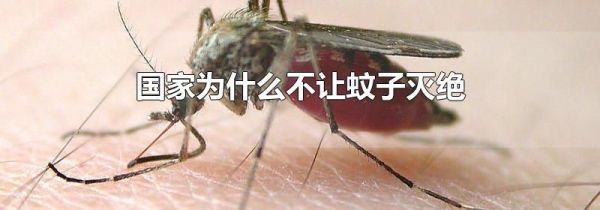 国家为什么不让蚊子灭绝