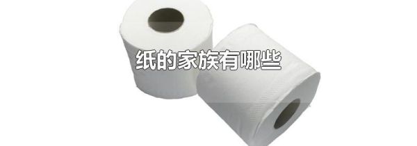 纸的家族有哪些