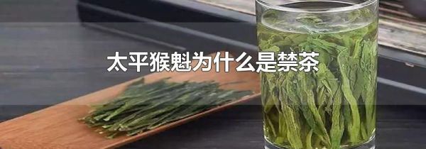 太平猴魁为什么是禁茶