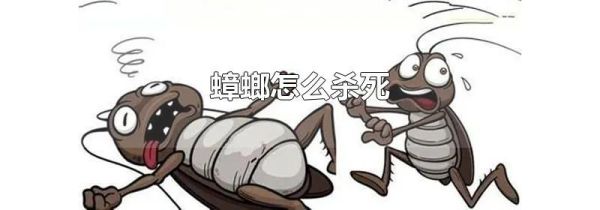 蟑螂怎么杀死