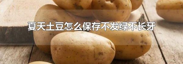 夏天土豆怎么保存不发绿不长牙