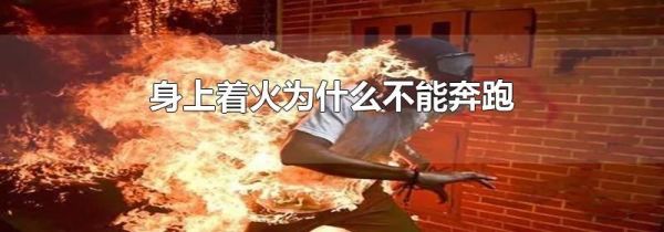 身上着火为什么不能奔跑