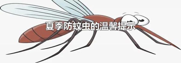 夏季防蚊虫的温馨提示