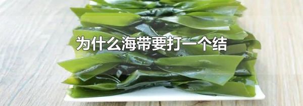 为什么海带要打一个结