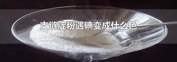 支链淀粉遇碘变成什么色