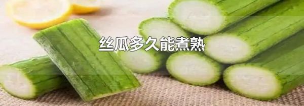 丝瓜多久能煮熟