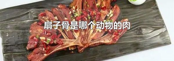 扇子骨是哪个动物的肉