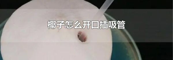椰子怎么开口插吸管