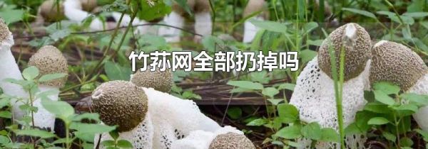 竹荪网全部扔掉吗