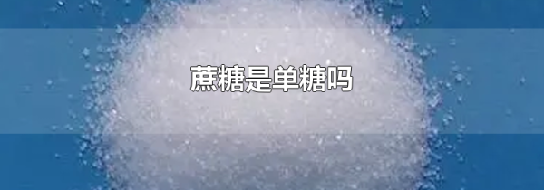 蔗糖是单糖吗