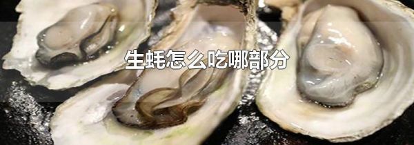 生蚝怎么吃哪部分