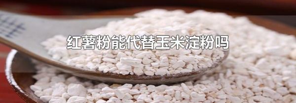 红薯粉能代替玉米淀粉吗