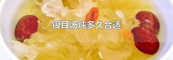 银耳汤炖多久合适