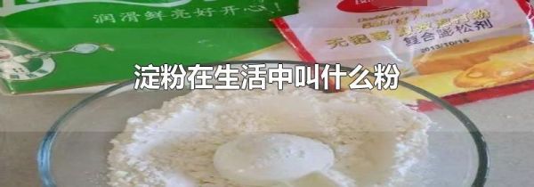 淀粉在生活中叫什么粉