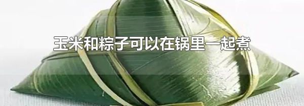 玉米和粽子可以在锅里一起煮吗