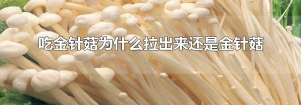 吃金针菇为什么拉出来还是金针菇