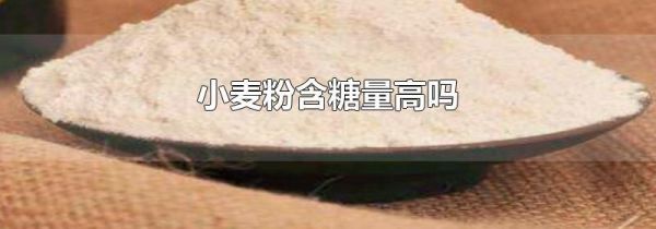 小麦粉含糖量高吗