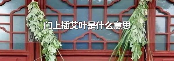 门上插艾叶是什么意思