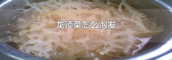 龙须菜怎么泡发