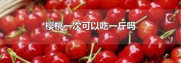 樱桃一次可以吃一斤吗