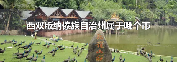 西双版纳傣族自治州属于哪个市