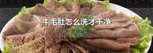 牛毛肚怎么洗才干净
