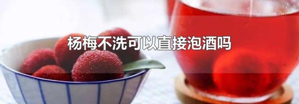 杨梅不洗可以直接泡酒吗