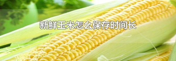 新鲜玉米怎么保存时间长