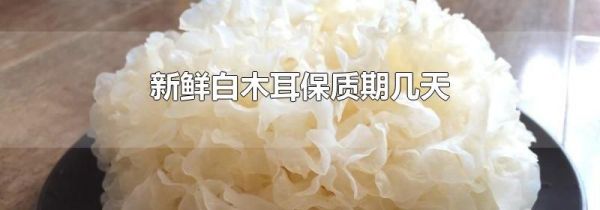 新鲜白木耳保质期几天