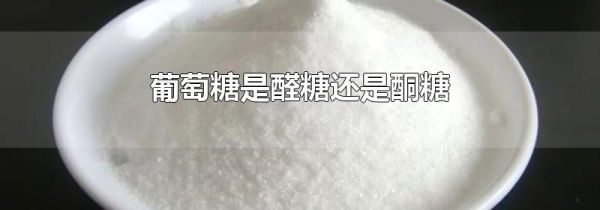 葡萄糖是醛糖还是酮糖