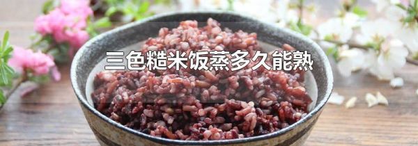 三色糙米饭蒸多久能熟