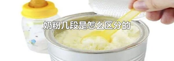 奶粉几段是怎么区分的