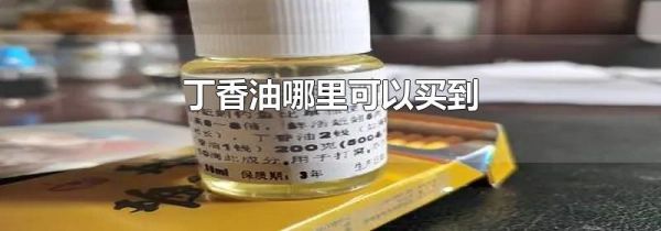 丁香油哪里可以买到