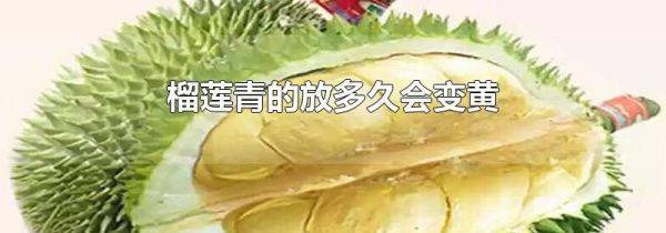 榴莲青的放多久会变黄